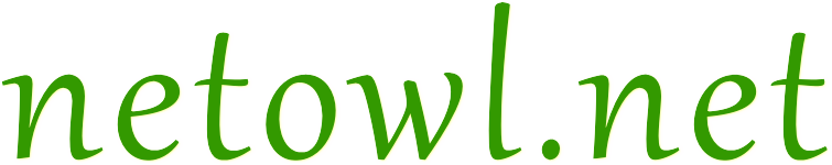 netowl.net